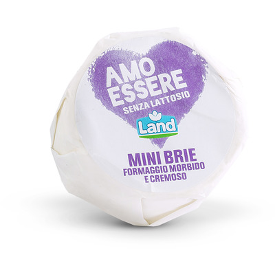 MINI BRIE SENZA LATTOSIO - AMO ESSERE SENZA LATTOSIO